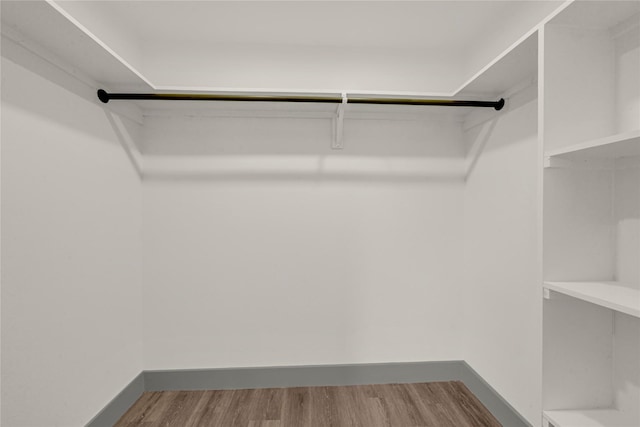 spacious closet with hardwood / wood-style floors