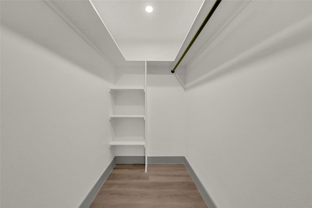 spacious closet with hardwood / wood-style floors