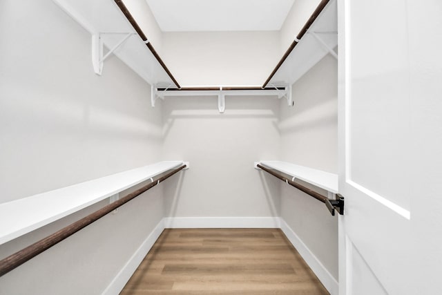 spacious closet with wood-type flooring