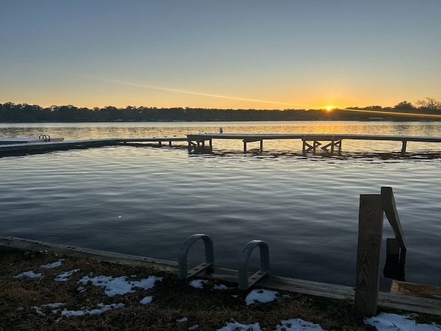 dock area with a water view