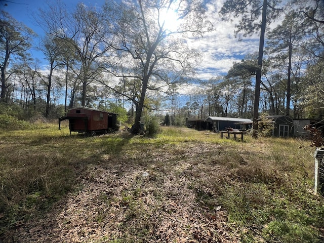 view of yard featuring an outbuilding