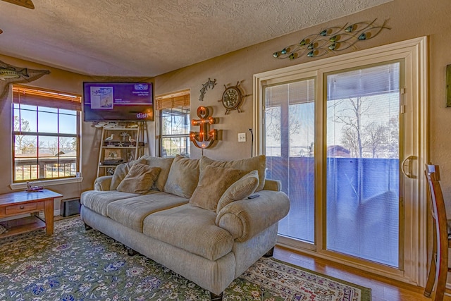 living room with a textured ceiling, a wealth of natural light, and hardwood / wood-style flooring