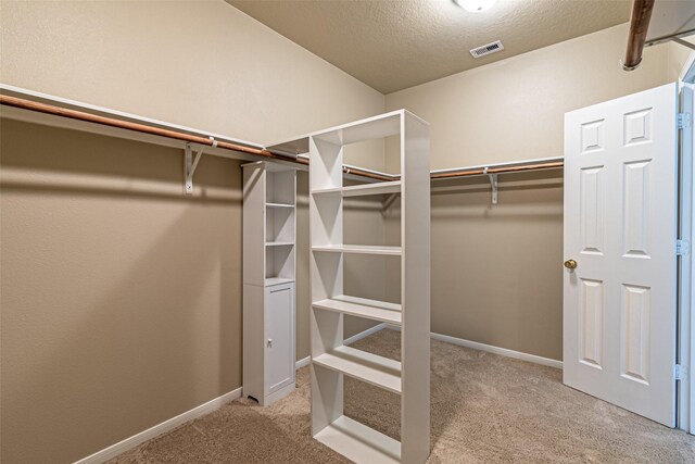 spacious closet featuring light colored carpet