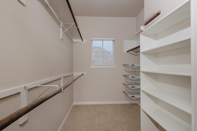 walk in closet with light carpet