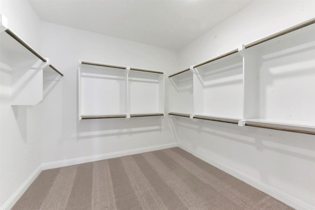 13115 Brookwood Bend Ln, Conroe, TX 77302 - spacious closet with carpet