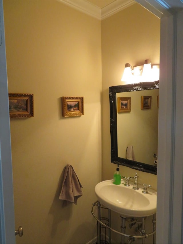 bathroom featuring sink and crown molding