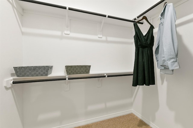 spacious closet featuring carpet floors