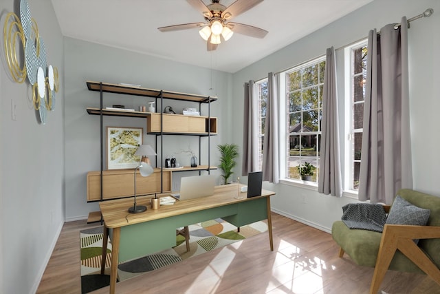 office with ceiling fan, a wealth of natural light, and light hardwood / wood-style floors