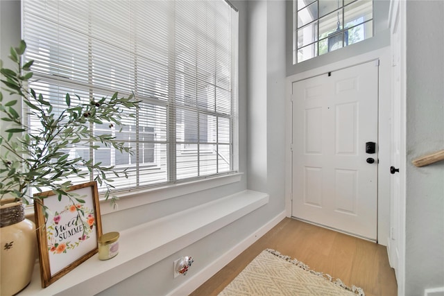 entryway featuring plenty of natural light and light hardwood / wood-style flooring