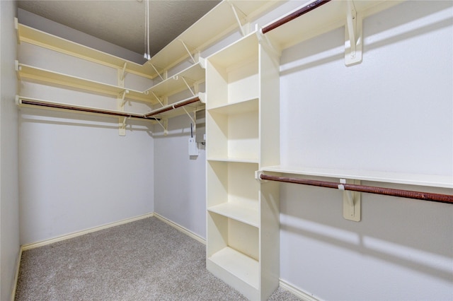 spacious closet featuring carpet floors