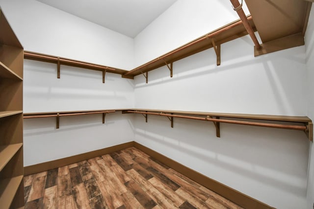 spacious closet featuring dark hardwood / wood-style flooring