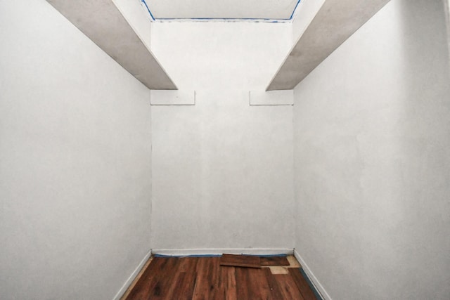 spacious closet with wood-type flooring