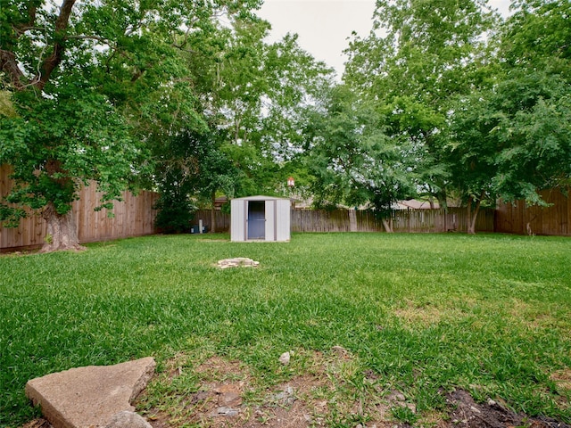 view of yard featuring a shed