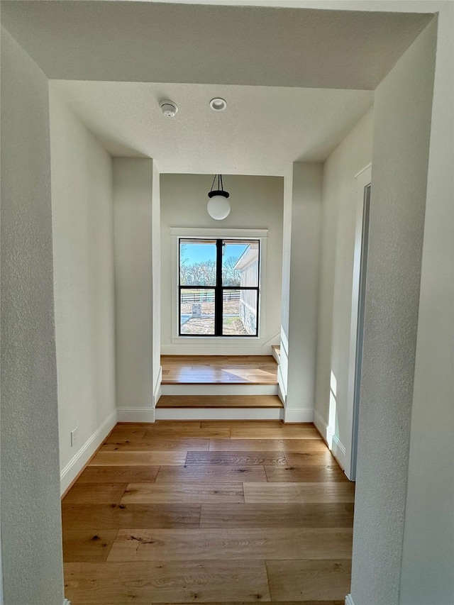 interior space featuring light hardwood / wood-style floors