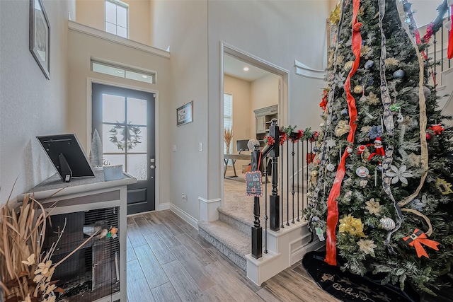 entrance foyer with wood-type flooring, plenty of natural light, and a towering ceiling