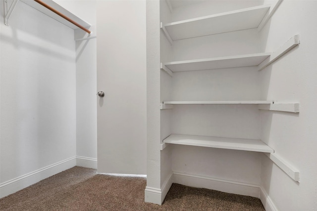 spacious closet featuring carpet flooring