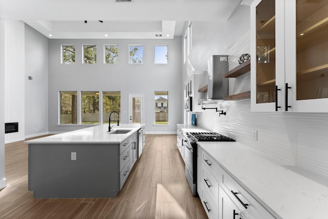 kitchen featuring white cabinetry, an island with sink, stainless steel appliances, wall chimney exhaust hood, and sink