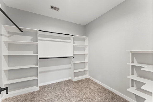 spacious closet with light carpet