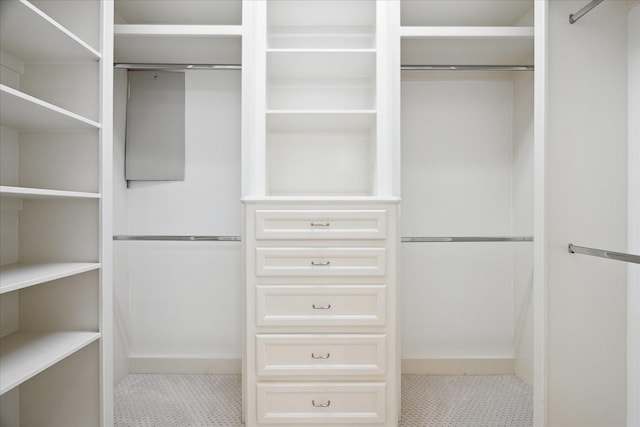 view of spacious closet