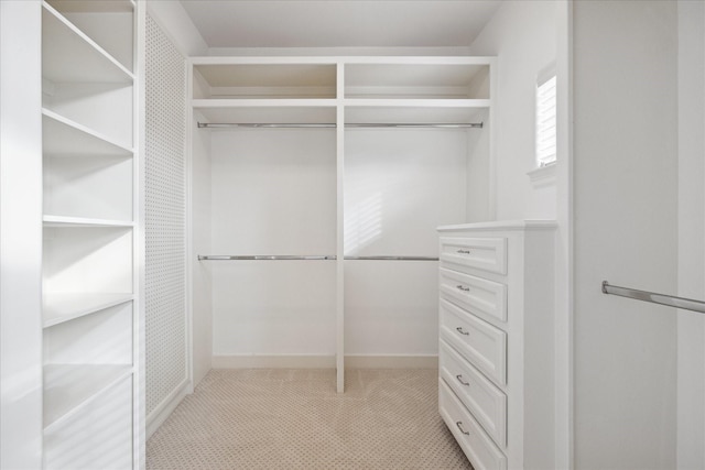 walk in closet featuring light carpet