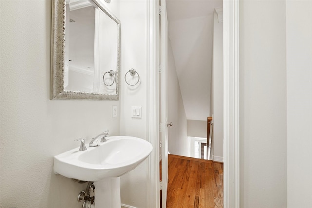 bathroom featuring hardwood / wood-style floors