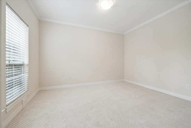 empty room with light carpet and crown molding