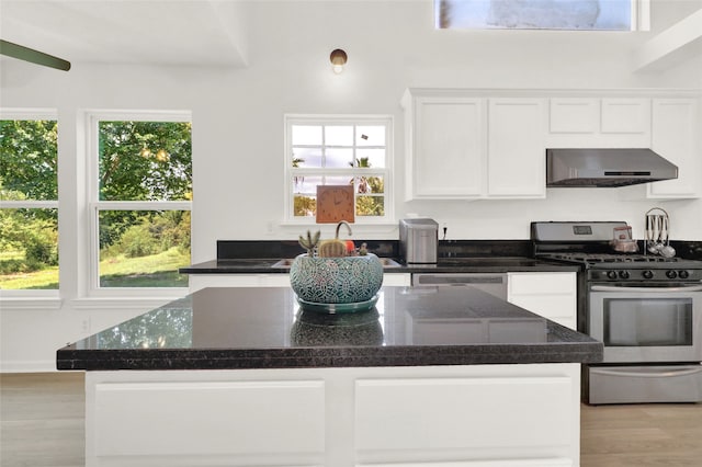 kitchen with white cabinetry, a center island, stainless steel appliances, and range hood