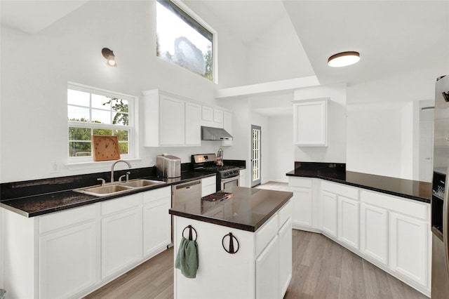 kitchen featuring ventilation hood, sink, stainless steel appliances, and white cabinetry