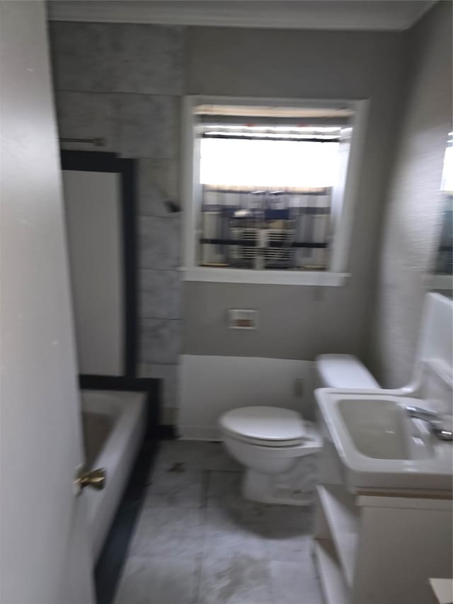 bathroom with sink and toilet