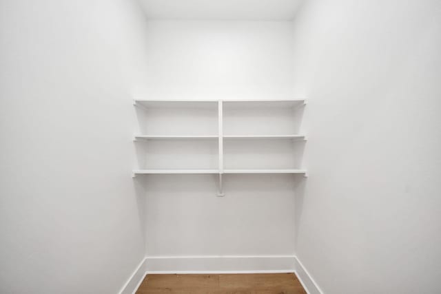 spacious closet with wood-type flooring