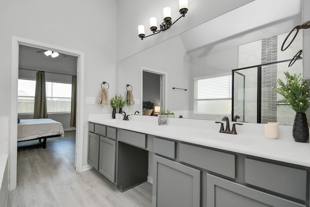 bathroom featuring vanity, hardwood / wood-style flooring, and a shower with door