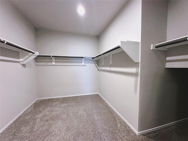 spacious closet with carpet flooring