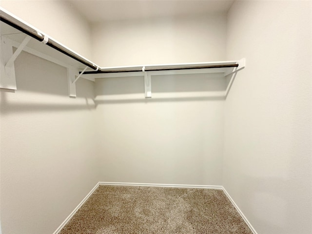 spacious closet featuring carpet floors