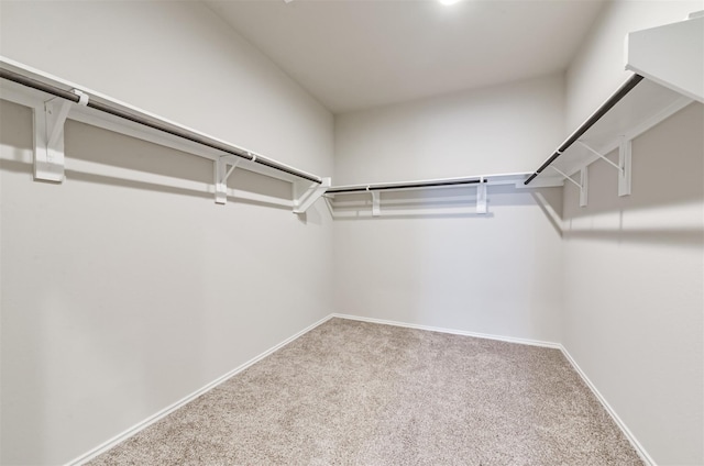 walk in closet with carpet