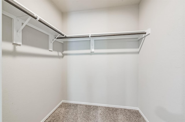 walk in closet with carpet flooring