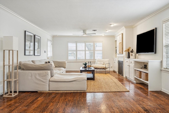 living room with ceiling fan, ornamental molding, and dark hardwood / wood-style flooring