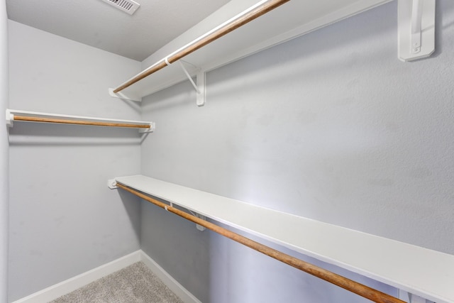 spacious closet featuring carpet flooring