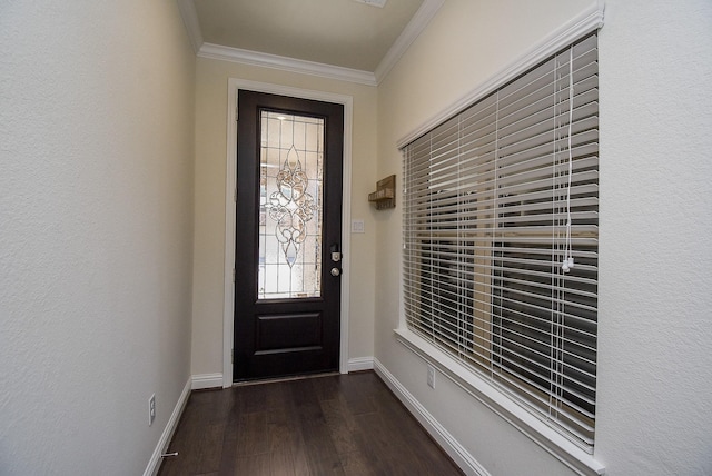 interior space featuring ornamental molding and dark hardwood / wood-style flooring