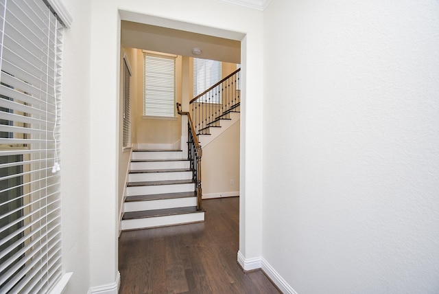 staircase featuring ornamental molding and hardwood / wood-style floors