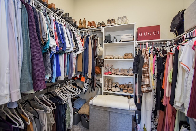 spacious closet featuring carpet flooring