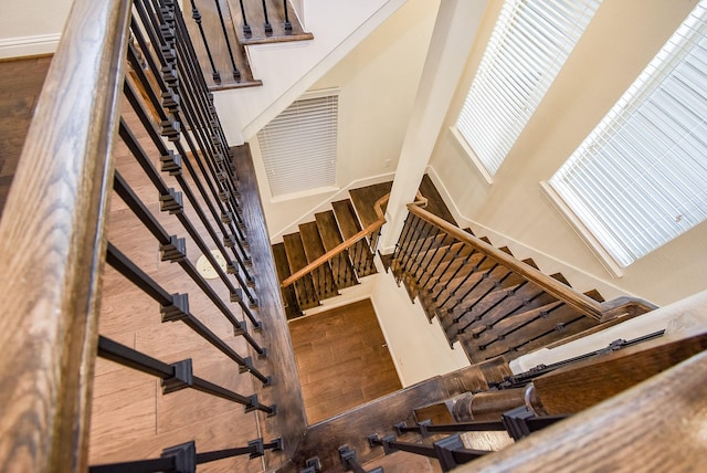 staircase featuring wood-type flooring