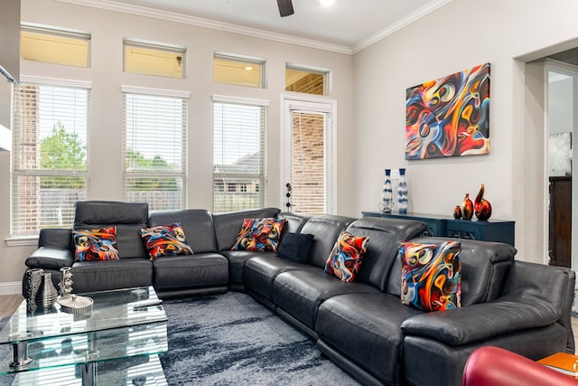 living room with ceiling fan, hardwood / wood-style floors, and crown molding