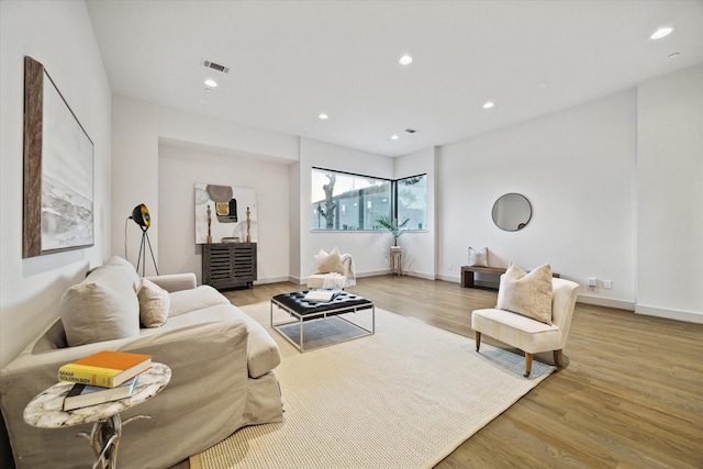 living room featuring wood-type flooring