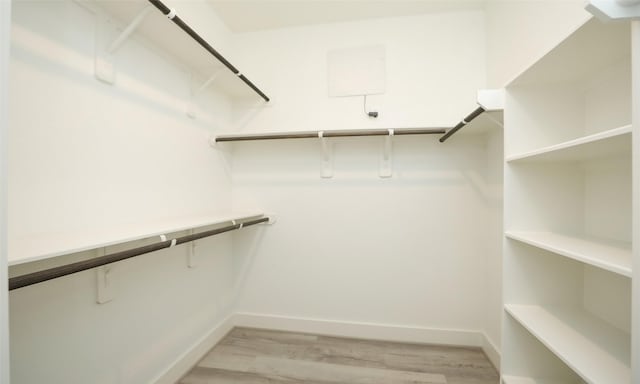 spacious closet featuring light hardwood / wood-style flooring