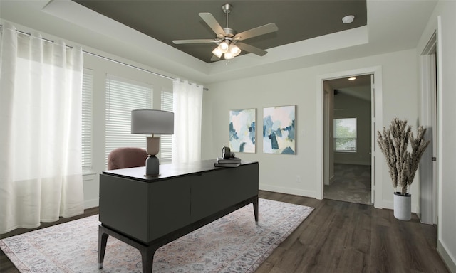 office featuring dark hardwood / wood-style flooring, a tray ceiling, and ceiling fan