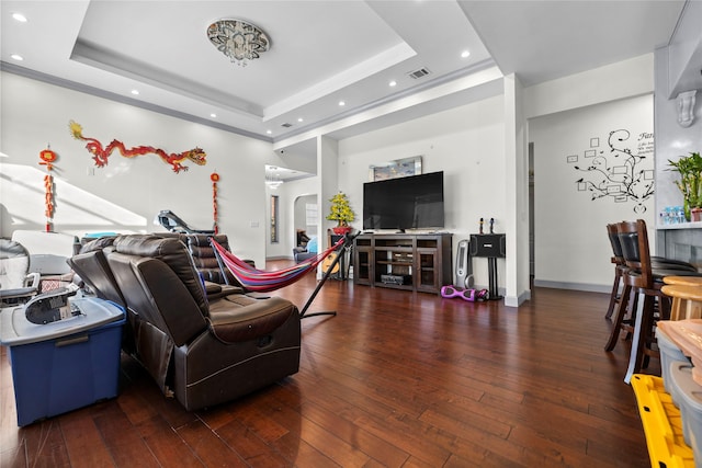 living room featuring dark hardwood / wood-style flooring and a raised ceiling