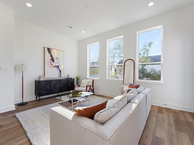 living room with hardwood / wood-style flooring