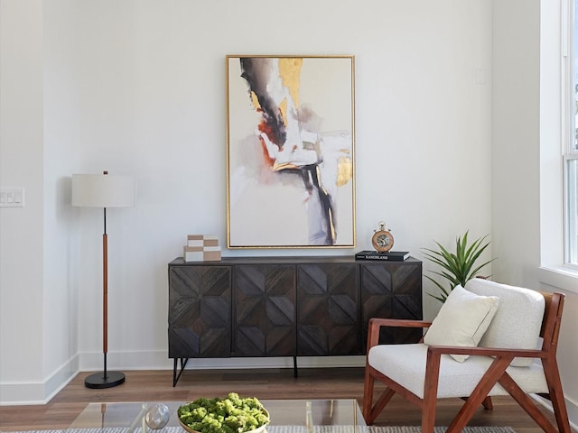 living area featuring hardwood / wood-style flooring