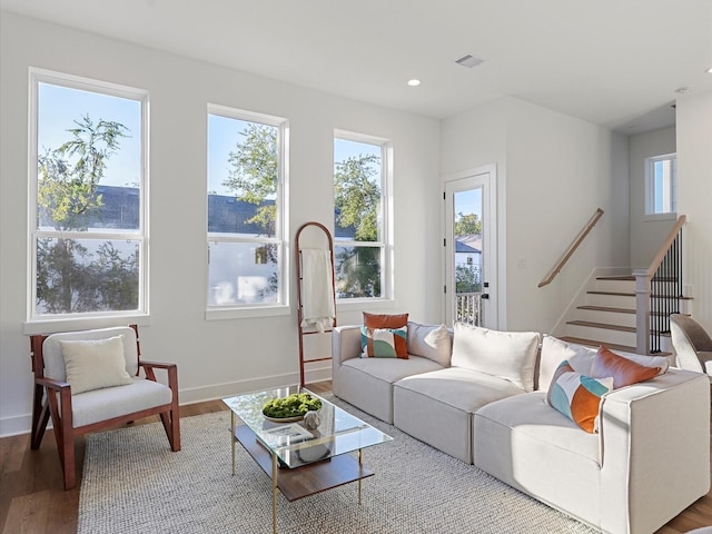 living room with wood-type flooring and a wealth of natural light