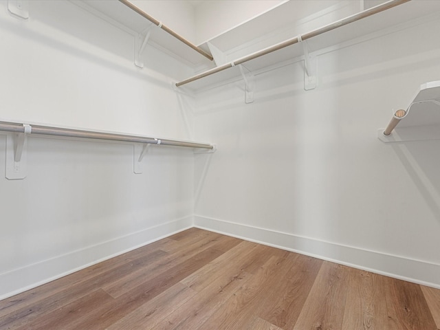 walk in closet with hardwood / wood-style floors